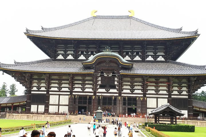 Amazing Tour of 8th Century Capital Nara image