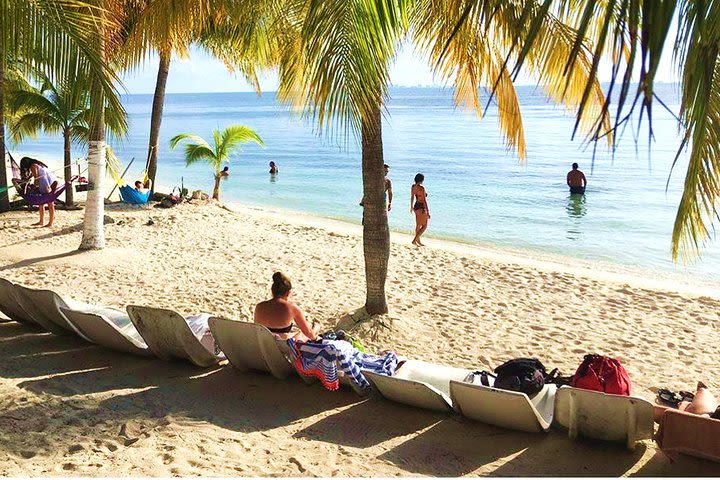 Catamaran to Isla Mujeres with Open Bar & Buffete in the Beach Club. image