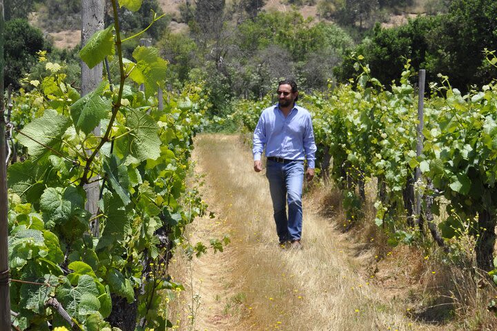 Countryside Tour through Maipo Valley image