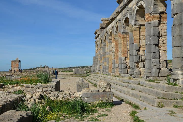 Fez to Volubilis and Meknes day Trip  image