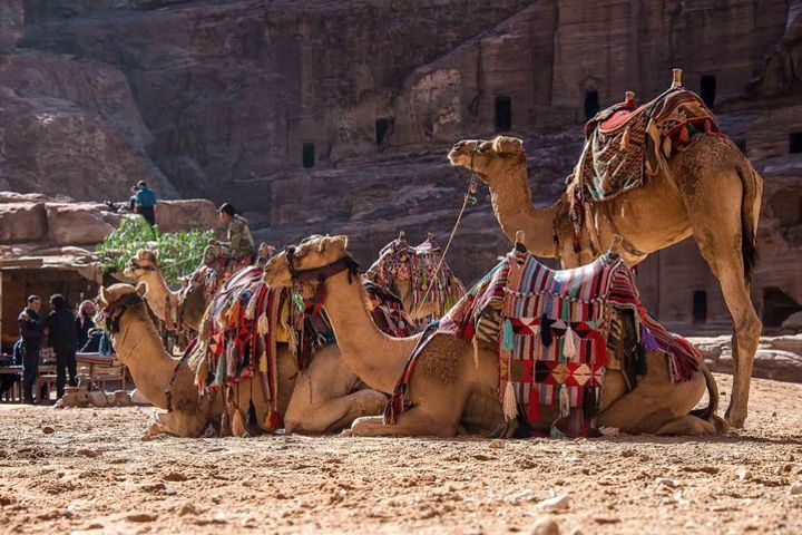 Jordan, Petra, Amman, Madaba, Promised Land 3-Day Trip from Tel Aviv &Jerusalem  image