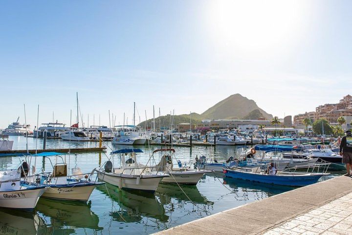 Cabo San Lucas City Tour image