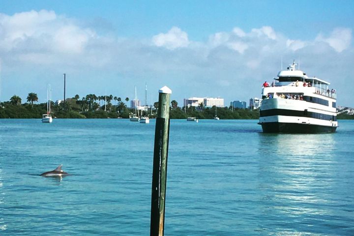 Clearwater Daytime Yacht Sightseeing Cruise with Optional Dining image
