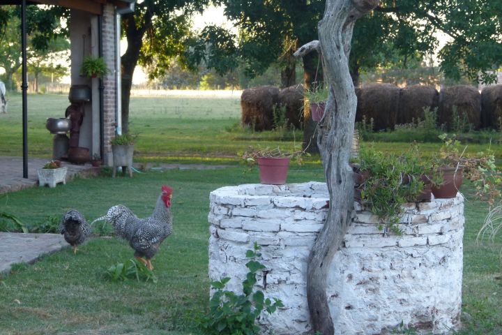 Ranch and Gaucho Town San Antonio de Areco image