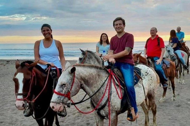 Jacó beach horseback riding experience  image