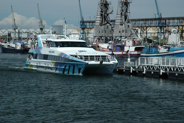 Cape Town Private, Tour Robben Island Gateaway & Table Mountain Car image