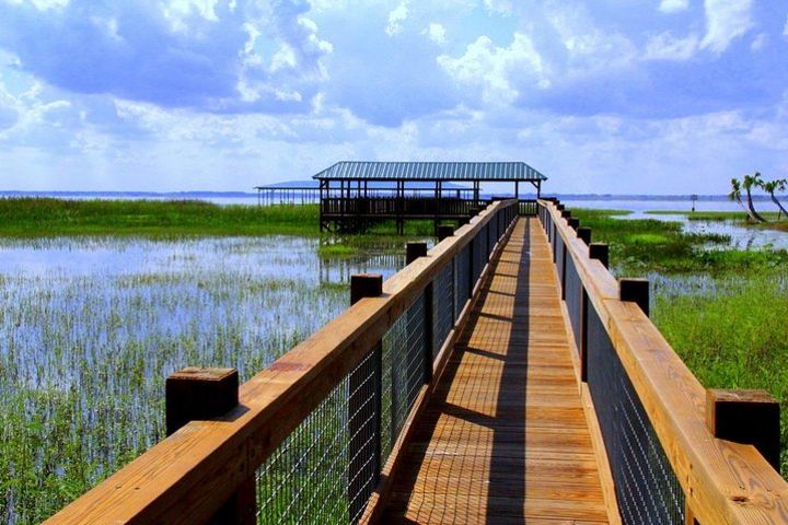 Gators, Gators, Gators! Airboat Ride and Gatorland Combo image