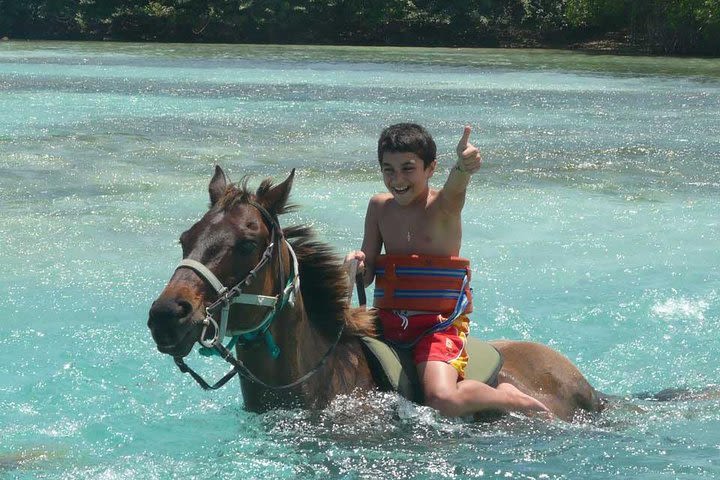 Half Day Private Horseback Riding and River Tubing image