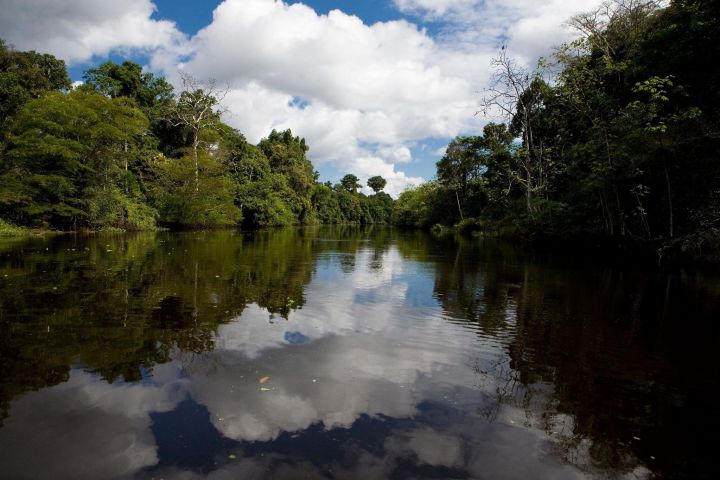 Iquitos Cruise Port to Hotel Transfer image