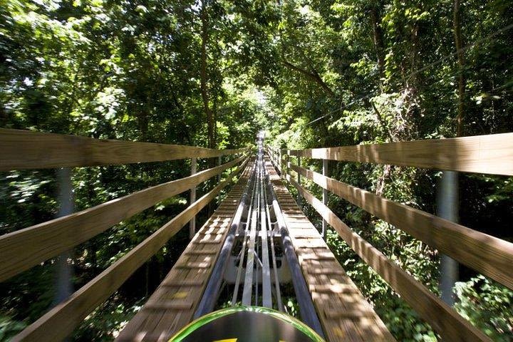 Jamaica Bobsled Adventure Tour from Ocho Rios image