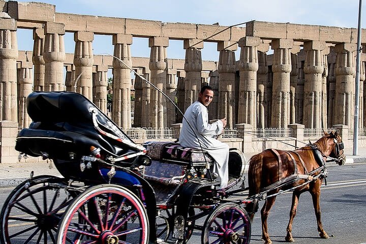 Horse Carriage City Tour in Luxor city with meal and soft drink image