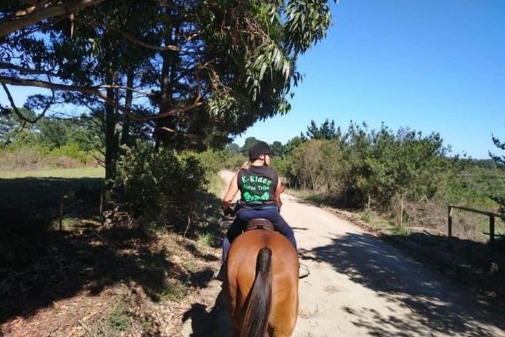 Horse Riding image