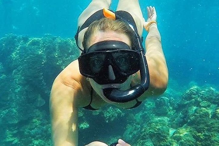 Full-Day Racha Noi and Racha Yai Snorkeling from Phuket image