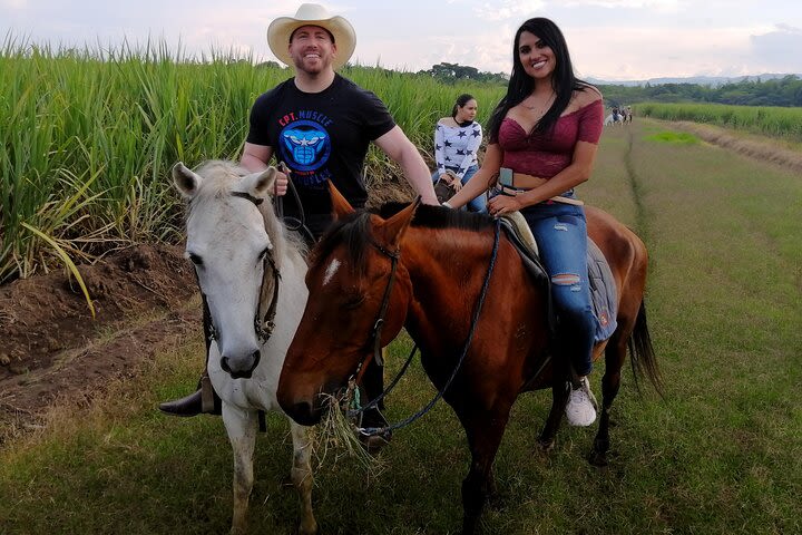 Horseback Riding Cali - Adventure in the beautiful landscape of the Valley image