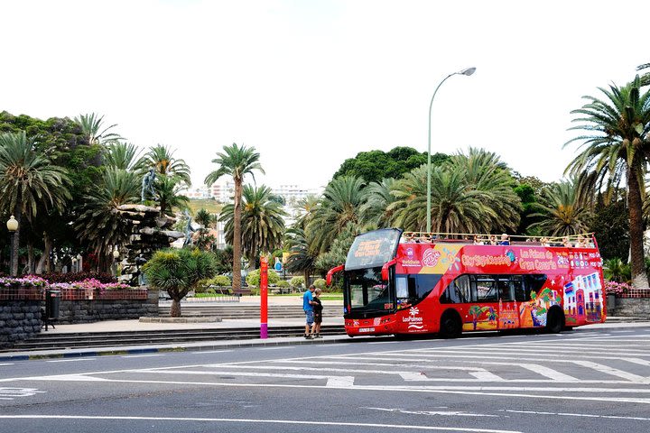 City Sightseeing Las Palmas de Gran Canaria Hop-On Hop-Off Bus Tour image