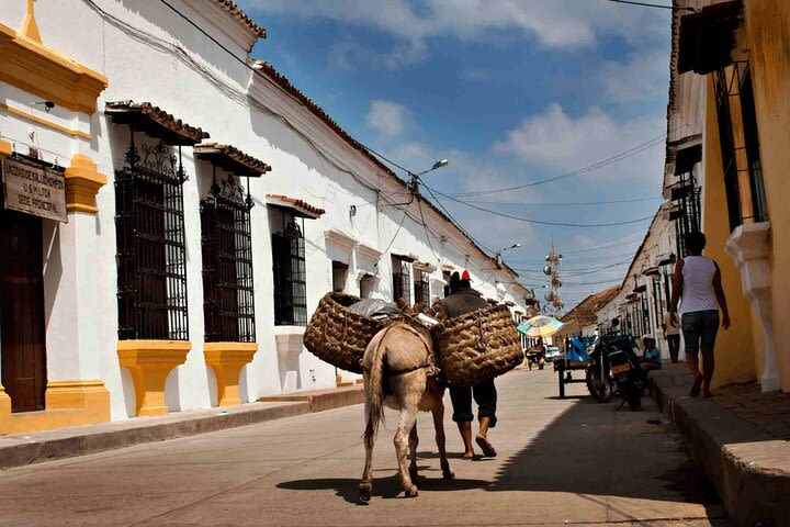 Cartagena to Mompox 2 Day Tour  image