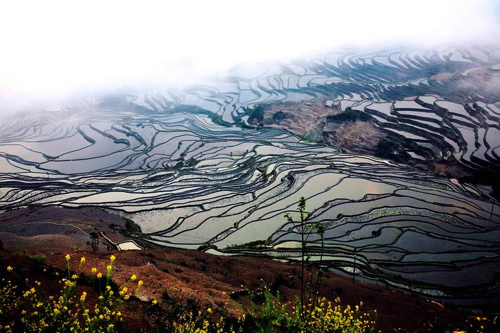 4-Days Stone Forest,Yuanyang Terraces and Jianshui Private Tour from Kunming image