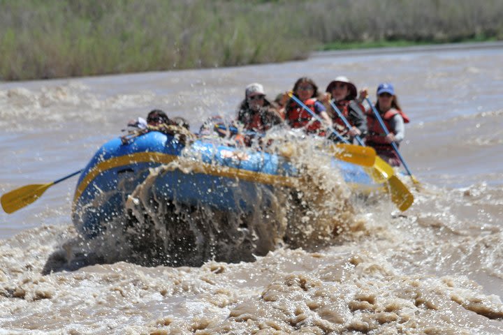 Whitewater Rafting in Moab  image