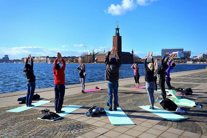 The Stockholm Yoga Experience image