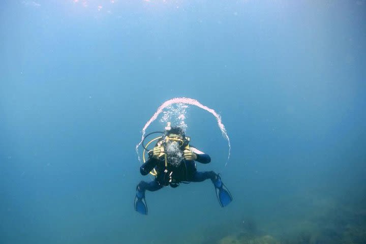 Rescue Diver and EFR (Starts from Koh Mak) image