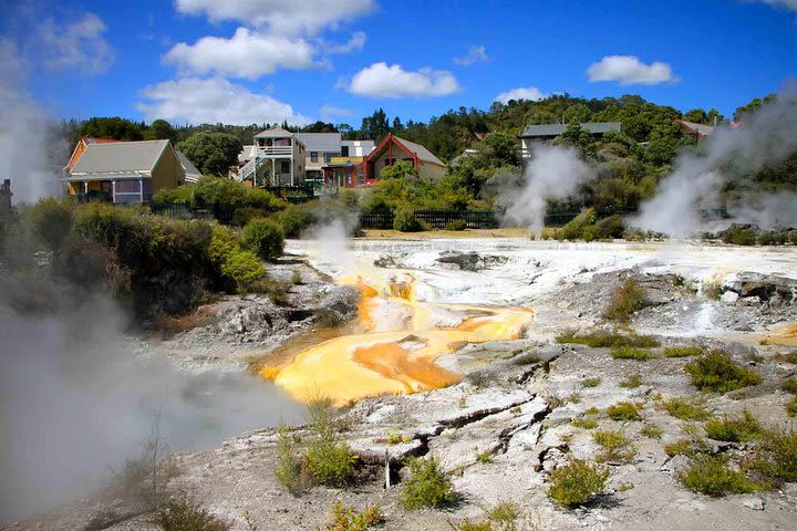 Rotorua Maori Geothermal Geysers Tour with Highlights image