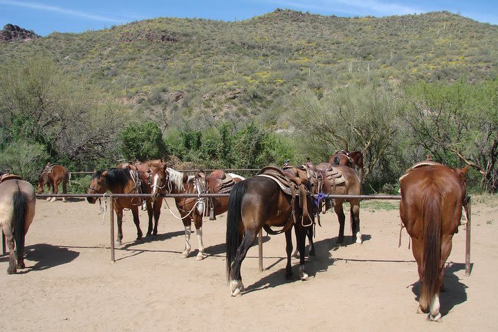 A Day In The Old West Adventure including Horseback Ride and Cowboy Lunch image