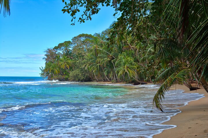 Shared shuttle Arenal to Puerto Viejo image