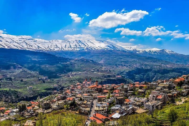 Full-Day Private Tour to Qadisha Valley, Bcharre and Cedars image