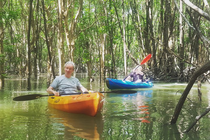 Khao Lak Mangrove Explorers image