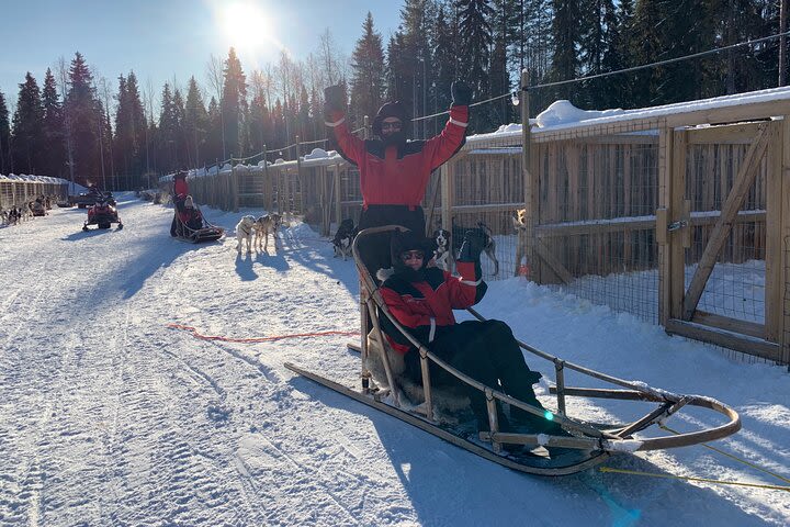 Husky Farm Visit and Dog Sledge Ride in Rovaniemi image