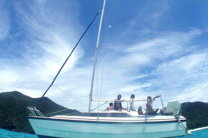 Swim with sea turtles at Kerama islands image