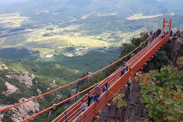 Full-Day Mount Wolchulsan National Park Hiking Trip image