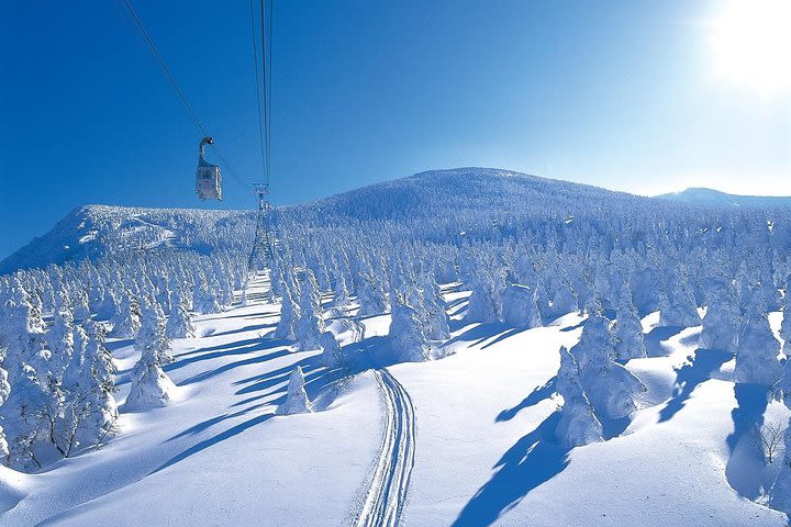 Furano and Biei Taxi Day Tour image