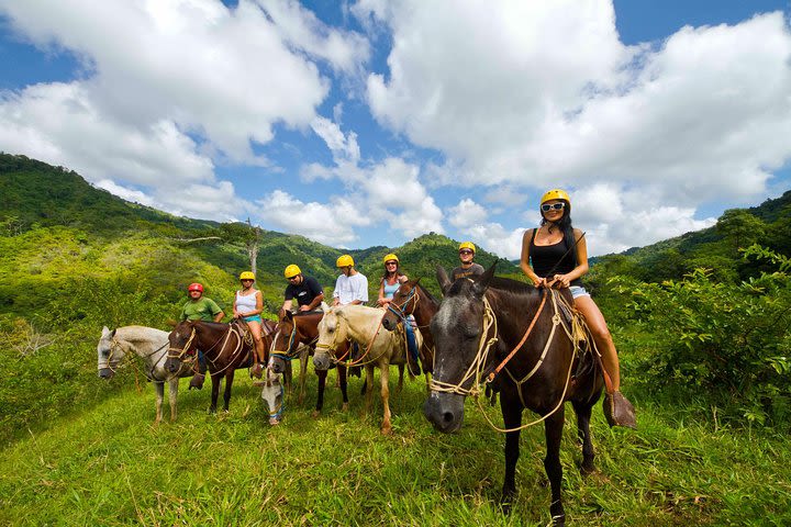 Horseback River Tour in Jaco image