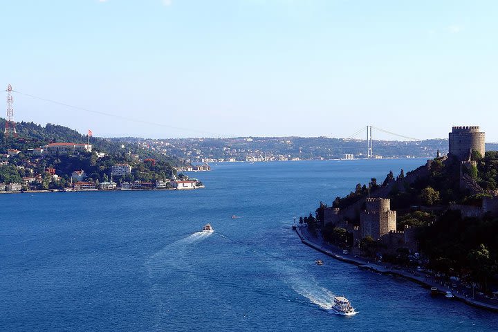 Short Guided Bosphorus and Golden Horn Boat Tour  image