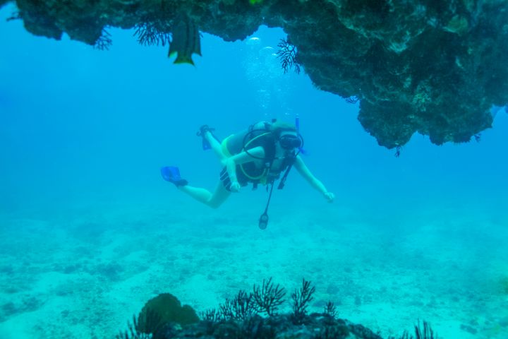  Scuba Dive at Marietas Islands image