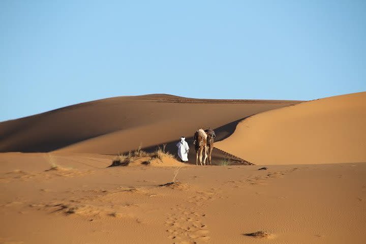 1 Night in Erg chebbi Desert, Camels, 4x4, Luxury Camp,All included,No Extra Fee image