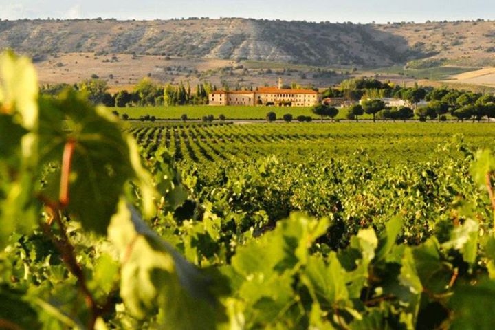 Colchagua Valley 4-Day Self-Drive Tour image