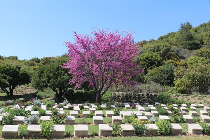 Gallipoli Tour from Eceabat, Canakkale image