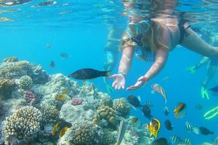 Giftun Island VIP & Banana Boat & Snorkeling Sea Trip - Hurghada image