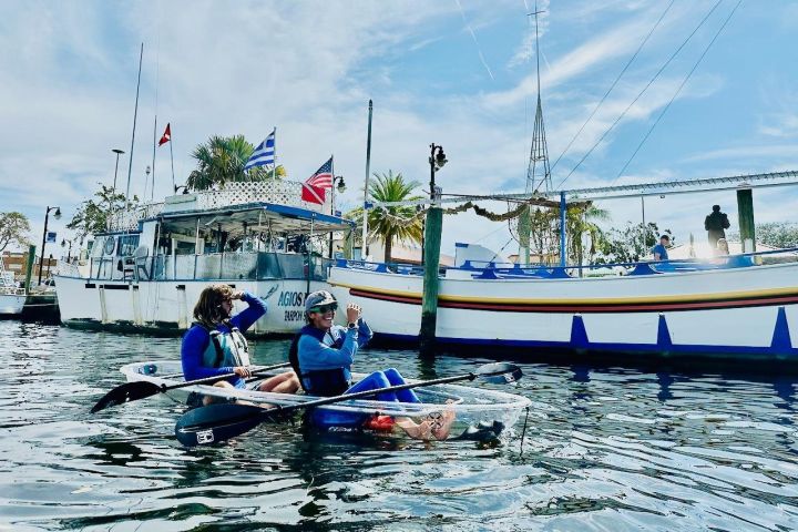 Clear Kayak Tour of Tarpon Springs Sponge Docks & Mangroves image