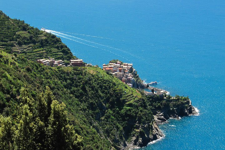 Cinque Terre Half Day Experience image