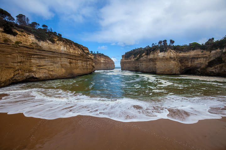 Great Ocean Road Tour with Lunch  image