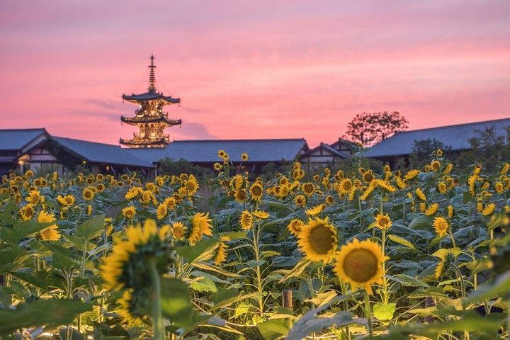 Nianhua Bay Private Half-Day Tour from Wuxi  image