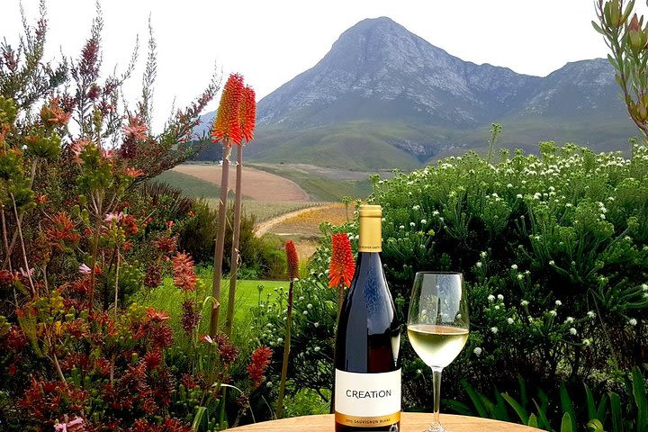 Full-Day Hemel-en-Aarde Valley Wine and Hermanus Whale Coast Private Tour image