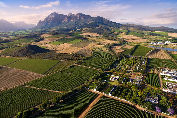 Full Day Cape Winelands image