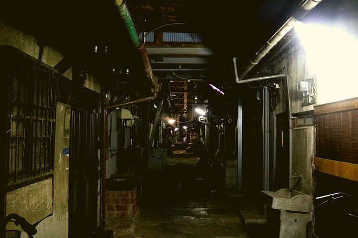 Deep Backstreet Osaka Tours image