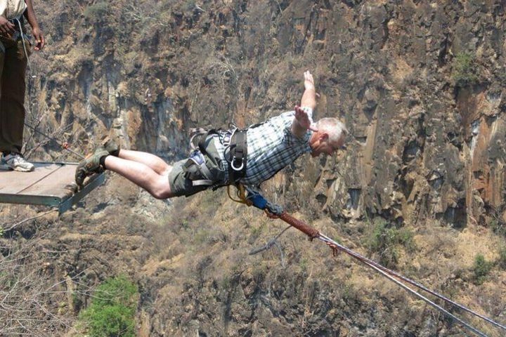 Gorge Swing (Zimbabwe) image