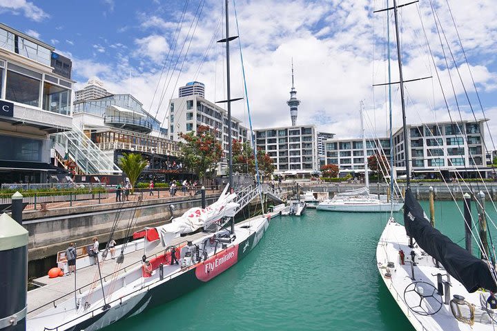 Auckland City Highlights Small Group Tour  image