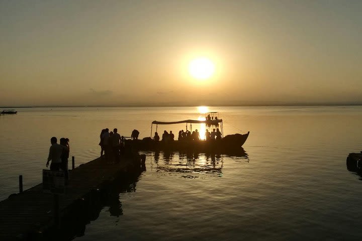 Excursion to Albufera Natural Park image